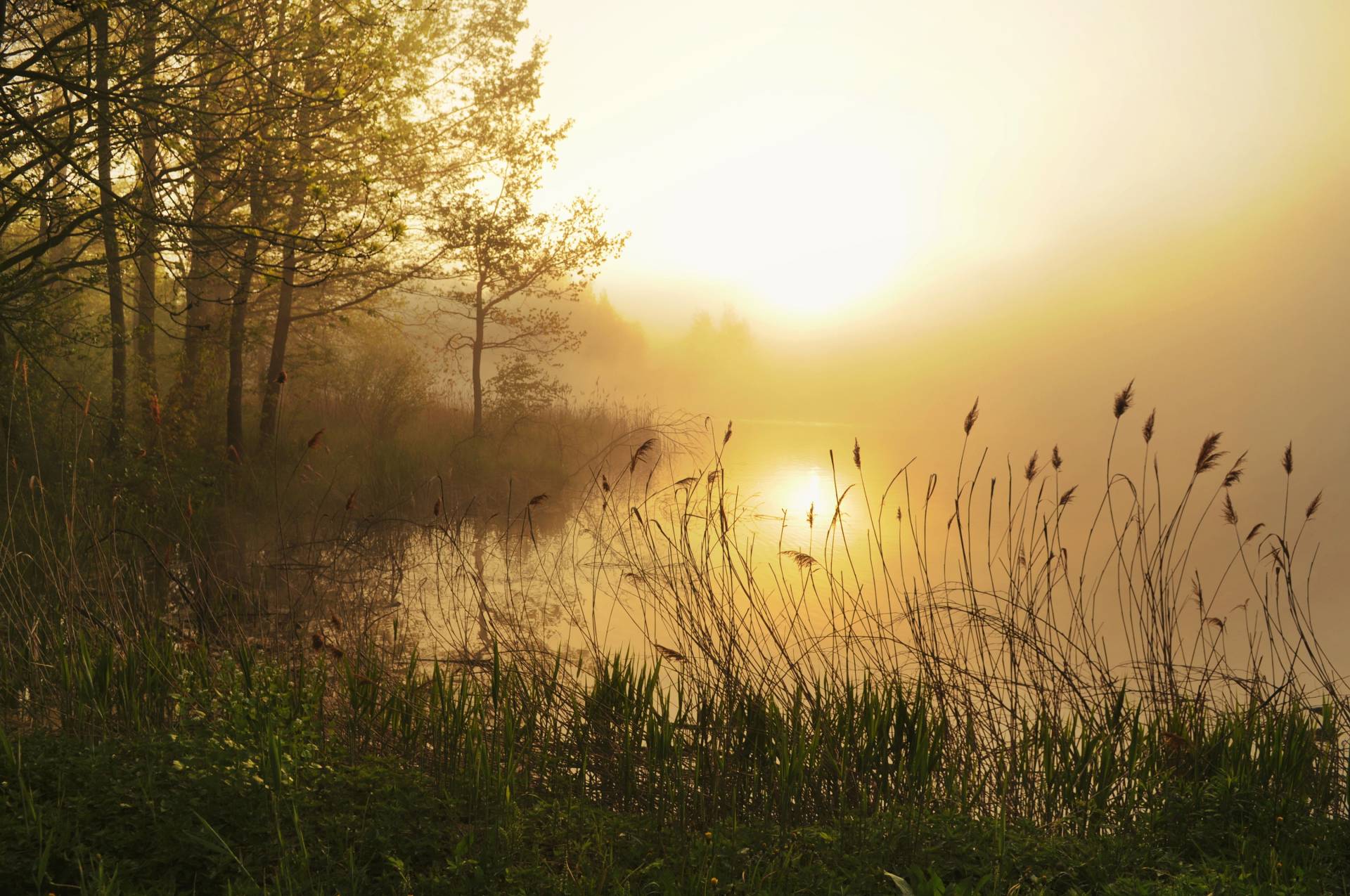 Papermoon Fototapete »Stunning Foggy Landscape« von Papermoon