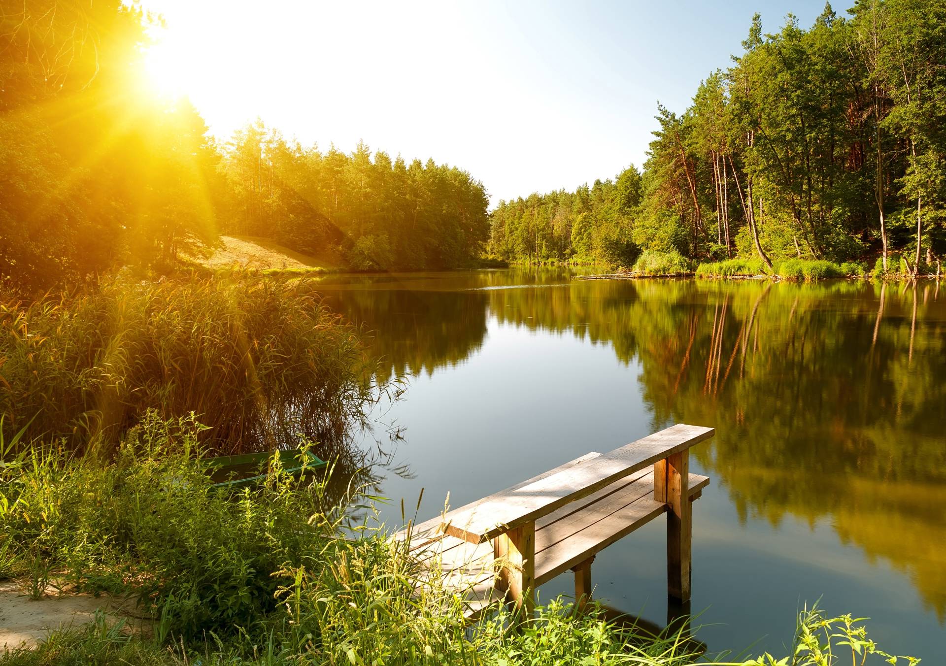 Papermoon Fototapete »Summer Forest Lake« von Papermoon