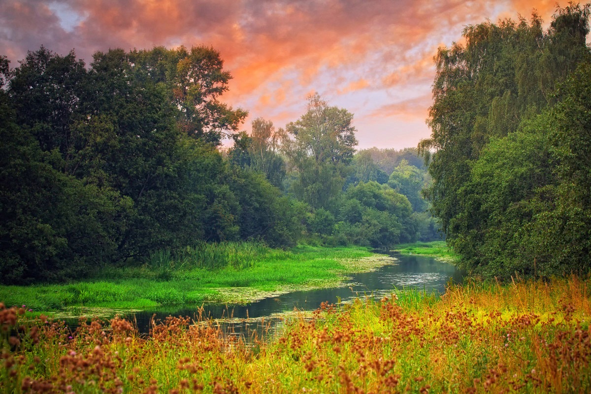 Papermoon Fototapete »Sunset River« Papermoon Fototapete »Sunset River« von Papermoon