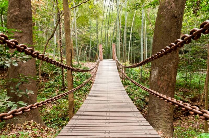 Papermoon Fototapete »Suspension Bridge« von Papermoon