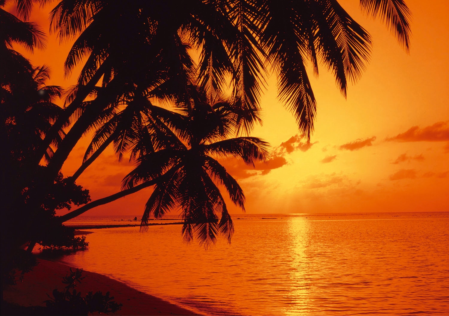 Papermoon Fototapete »Tropic Sunset« von Papermoon