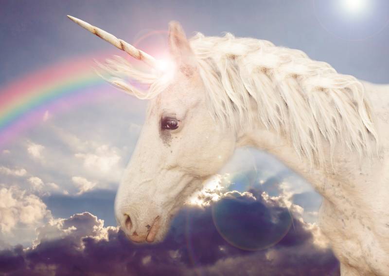 Papermoon Fototapete »Unicorn Rainbow« von Papermoon