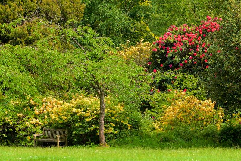 Papermoon Fototapete »WALD IN PARK-BAUM BLUMEN NATUR PFLANZE SONNE WIESE XXL« von Papermoon