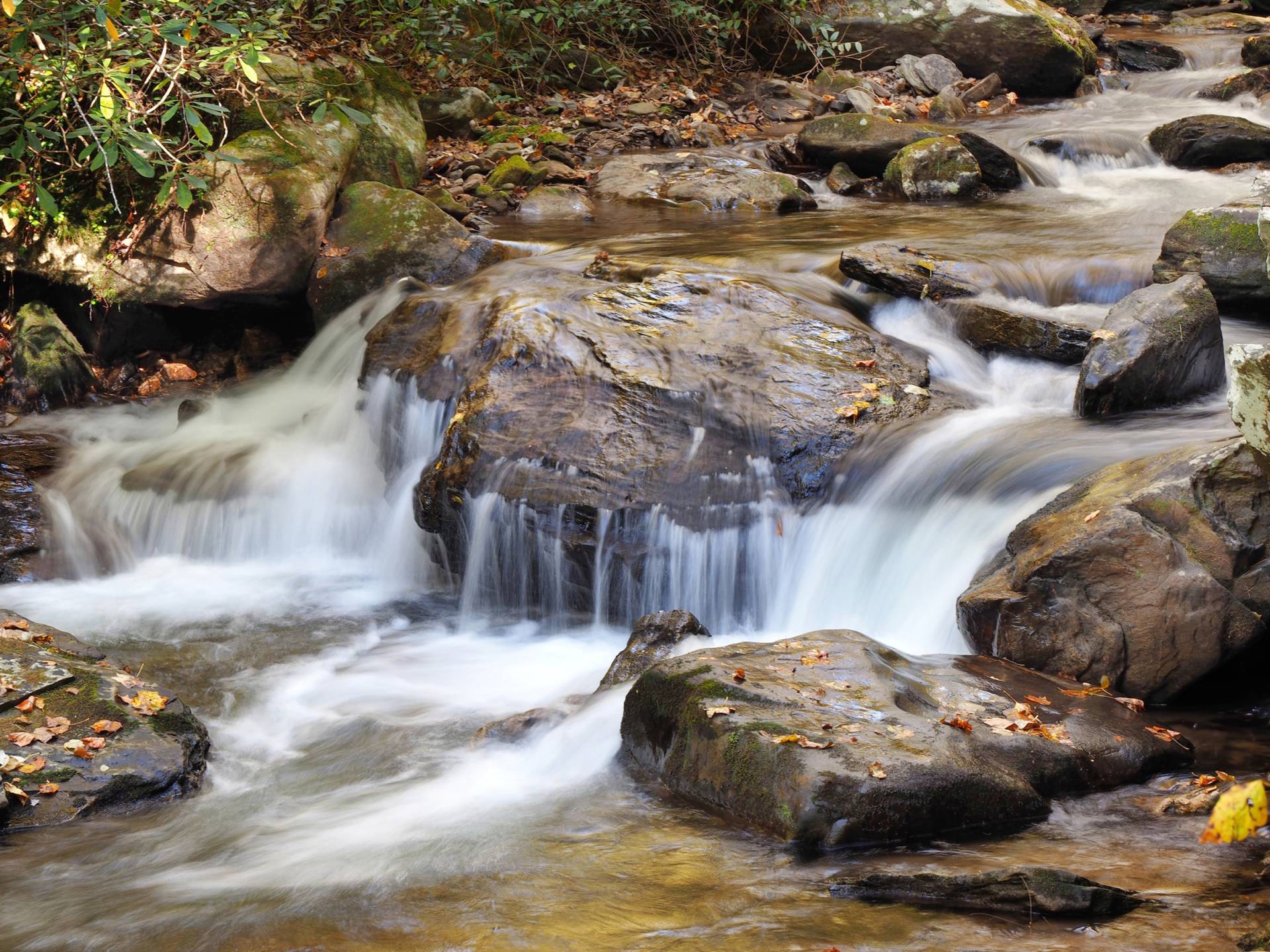 Papermoon Fototapete »WASSERFALL-BÄUME FLUSS SEE STEINE BLUME WALD BACH SONNE« von Papermoon