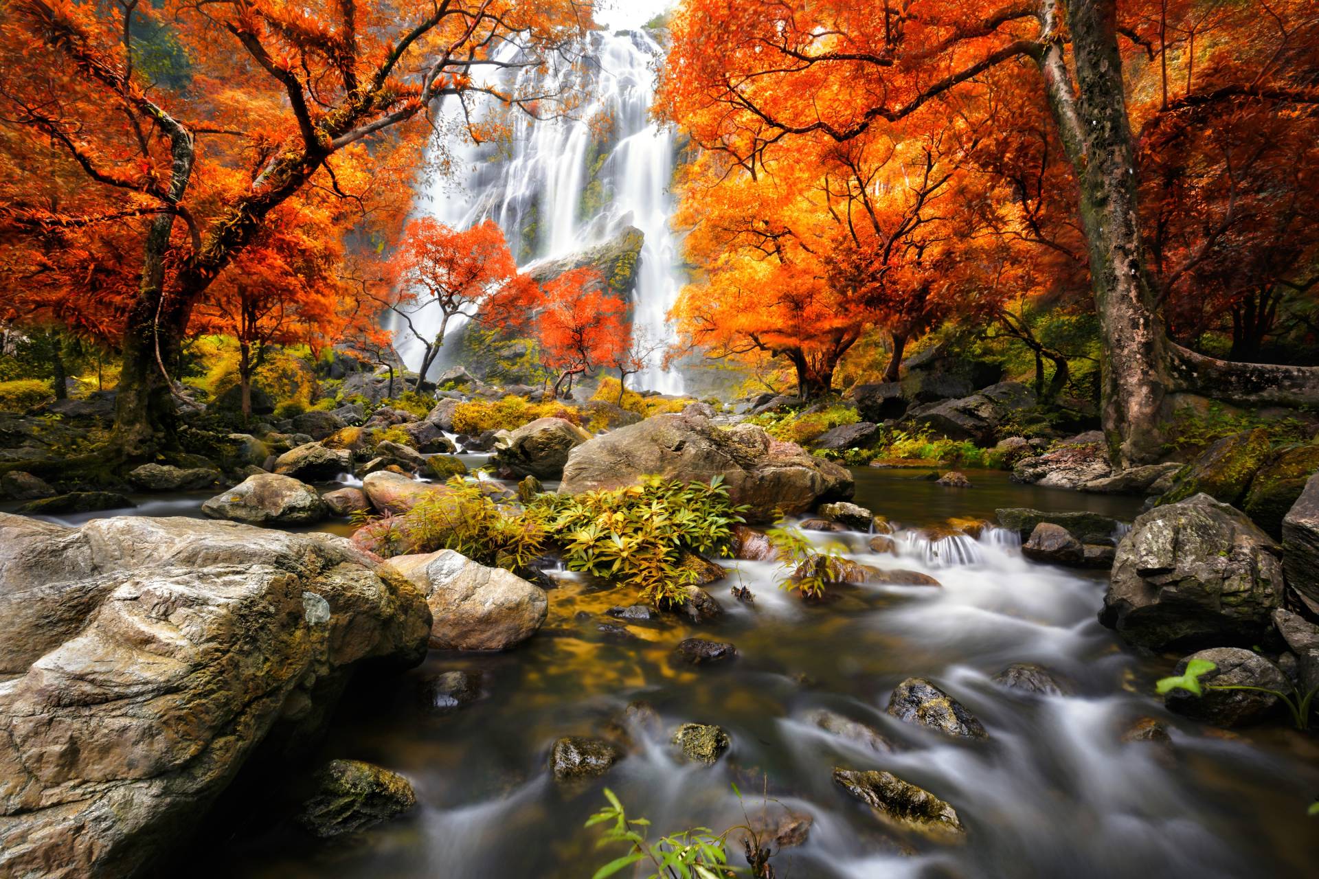 Papermoon Fototapete »WASSERFALL-HERBST BÄUME WALD NATUR LANDSCHAFT DSCHUNGEL« von Papermoon