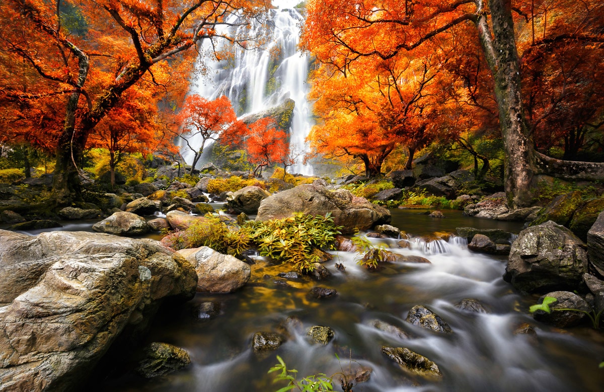 Papermoon Fototapete »WASSERFALL-HERBST WALD BÄUME STEINE FLUSS LANDSCHAFT« von Papermoon