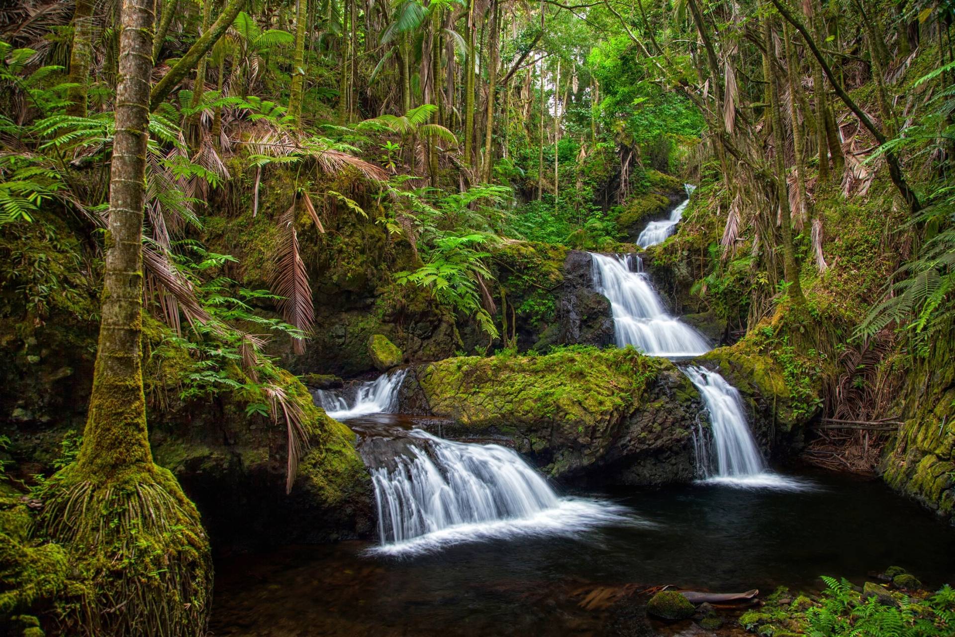 Papermoon Fototapete »WASSERFALL-MAGISCHER WALD BÄUME FLUSS SEE STEINE BLUMEN« von Papermoon