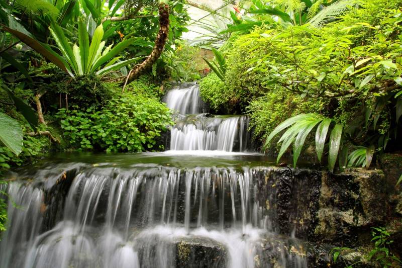 Papermoon Fototapete »WASSERFALL-NATUR WALD DSCHUNGEL PALMEN BÄUME PFLANZEN« von Papermoon