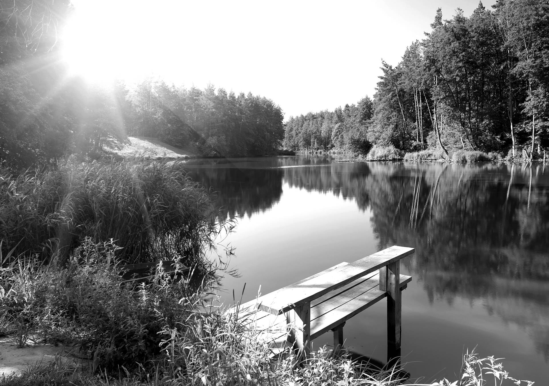 Papermoon Fototapete »Wald mir Fluss Schwarz & Weiss« von Papermoon