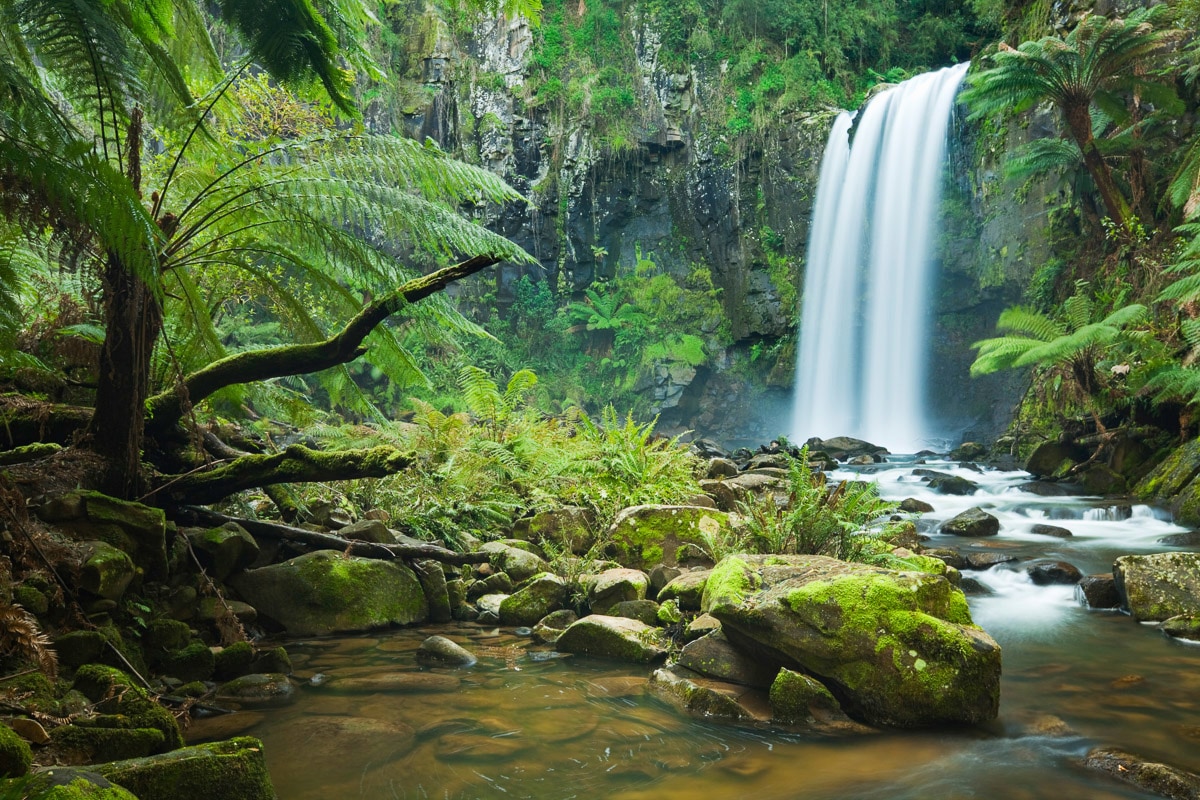 Papermoon Fototapete »Wasserfall im Wald« von Papermoon