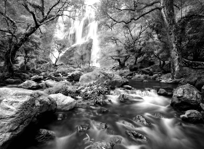 Papermoon Fototapete »Wasserfall im Wald Schwarz & Weiss« von Papermoon