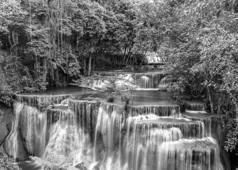 Papermoon Fototapete »Wasserfall im Wald Schwarz & Weiss« von Papermoon