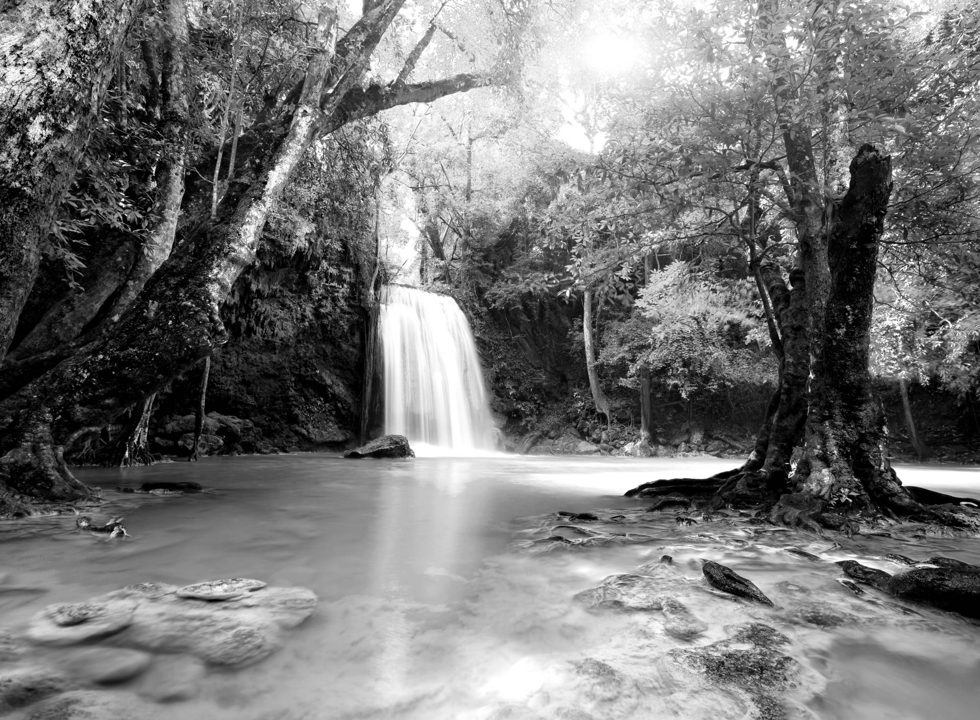 Papermoon Fototapete »Wasserfall im Wald Schwarz & Weiss« von Papermoon