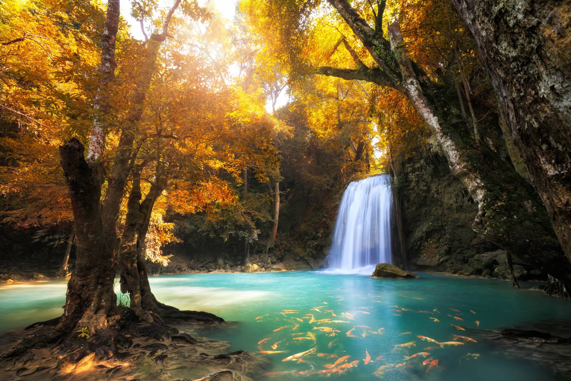 Papermoon Fototapete »Waterfall in Kanchanaburi, Thailand« von Papermoon