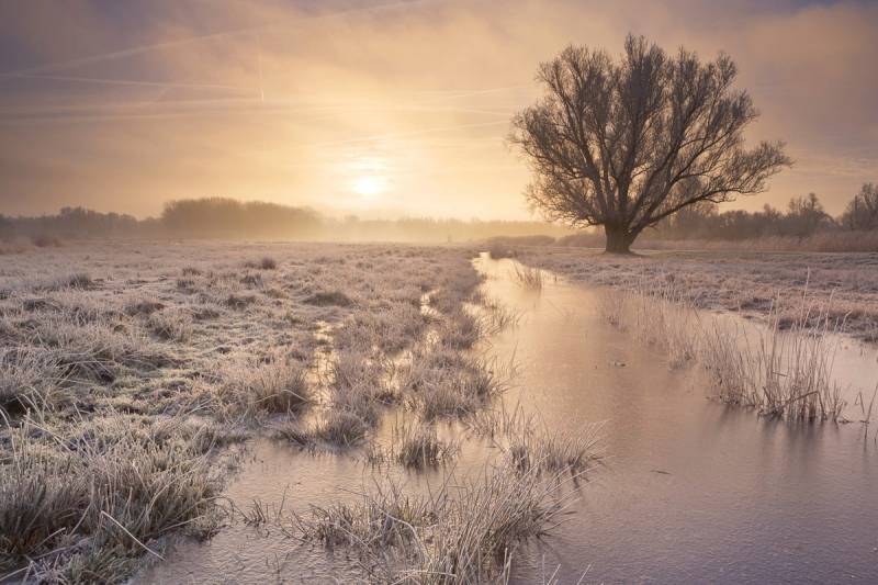 Papermoon Fototapete »Winterlandschaft« von Papermoon