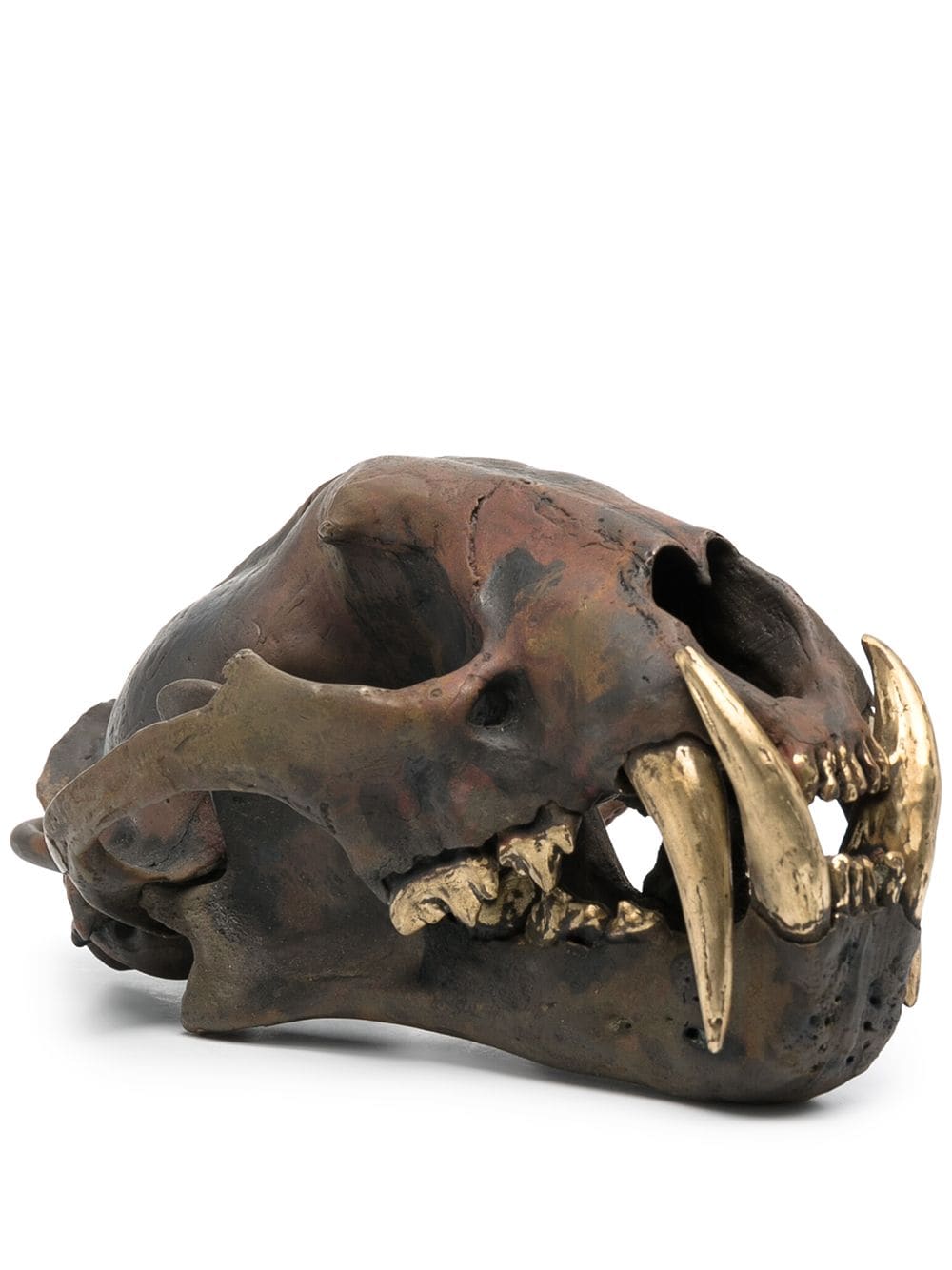 Parts of Four Leopard Skull replica - Brown von Parts of Four