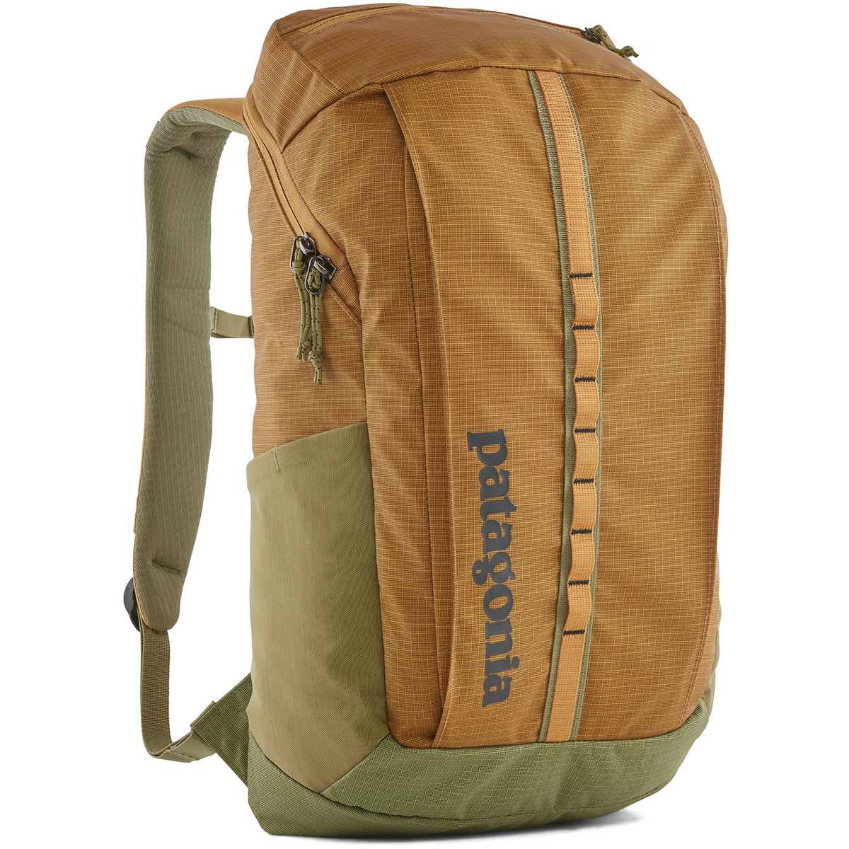 Patagonia Black Hole 25L Rucksack von Patagonia