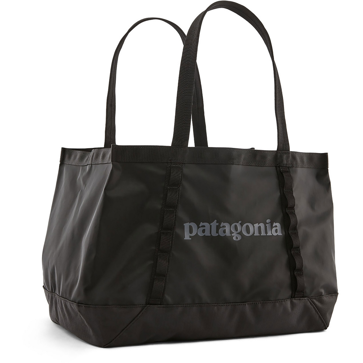 Patagonia Black Hole 25L Tache von Patagonia