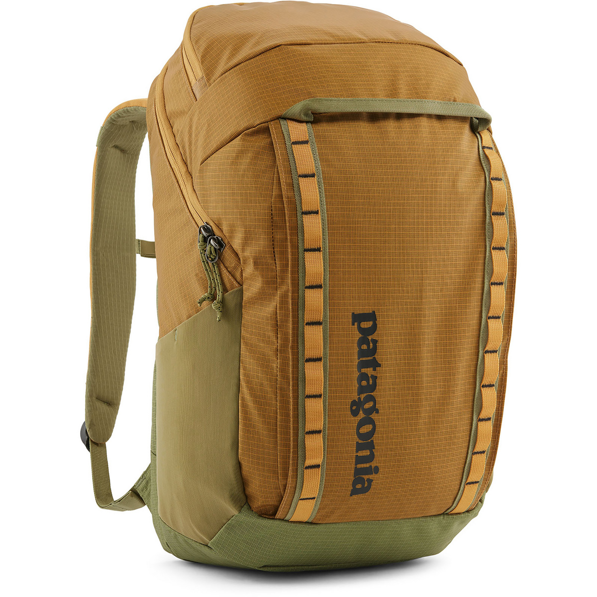 Patagonia Black Hole 32L Rucksack von Patagonia