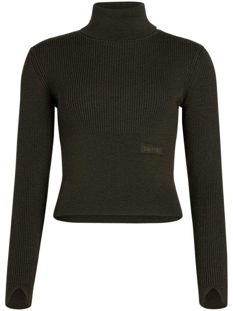 Patou ribbed roll-neck sweater - Green von Patou