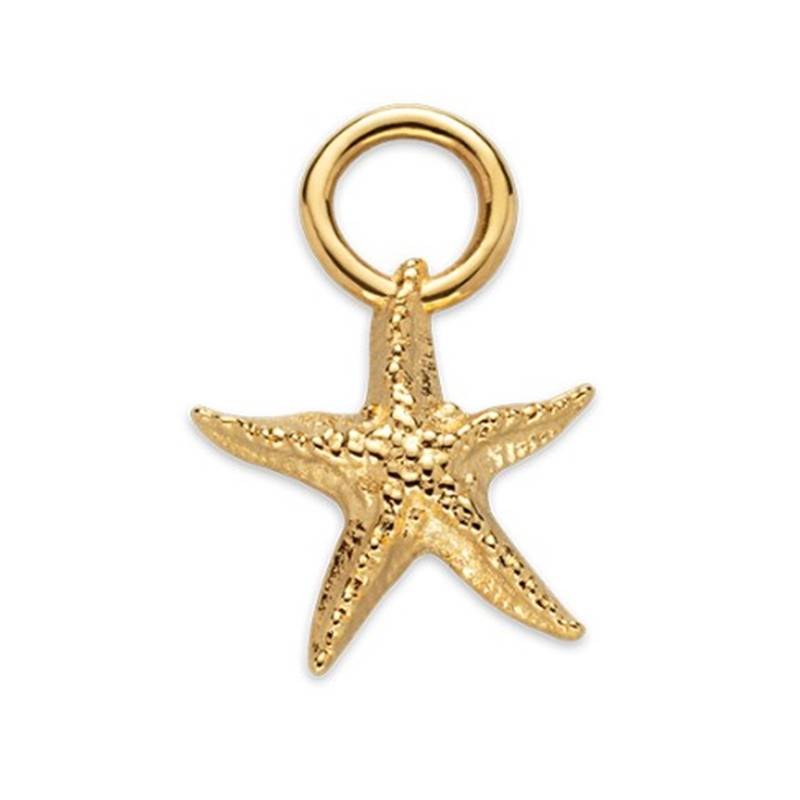 Paul Hewitt PH-JE-0426 Starfish Charm Gold von Paul Hewitt