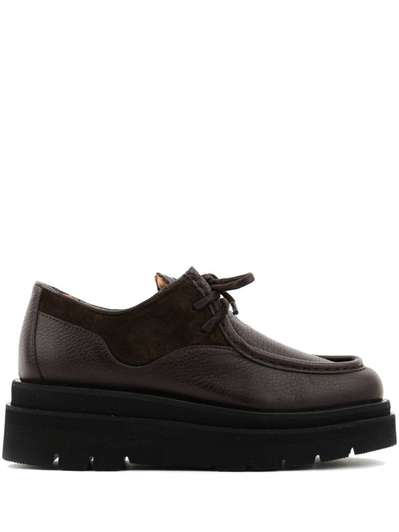 Paul Warmer x Toral Frankie brogues - Brown von Paul Warmer