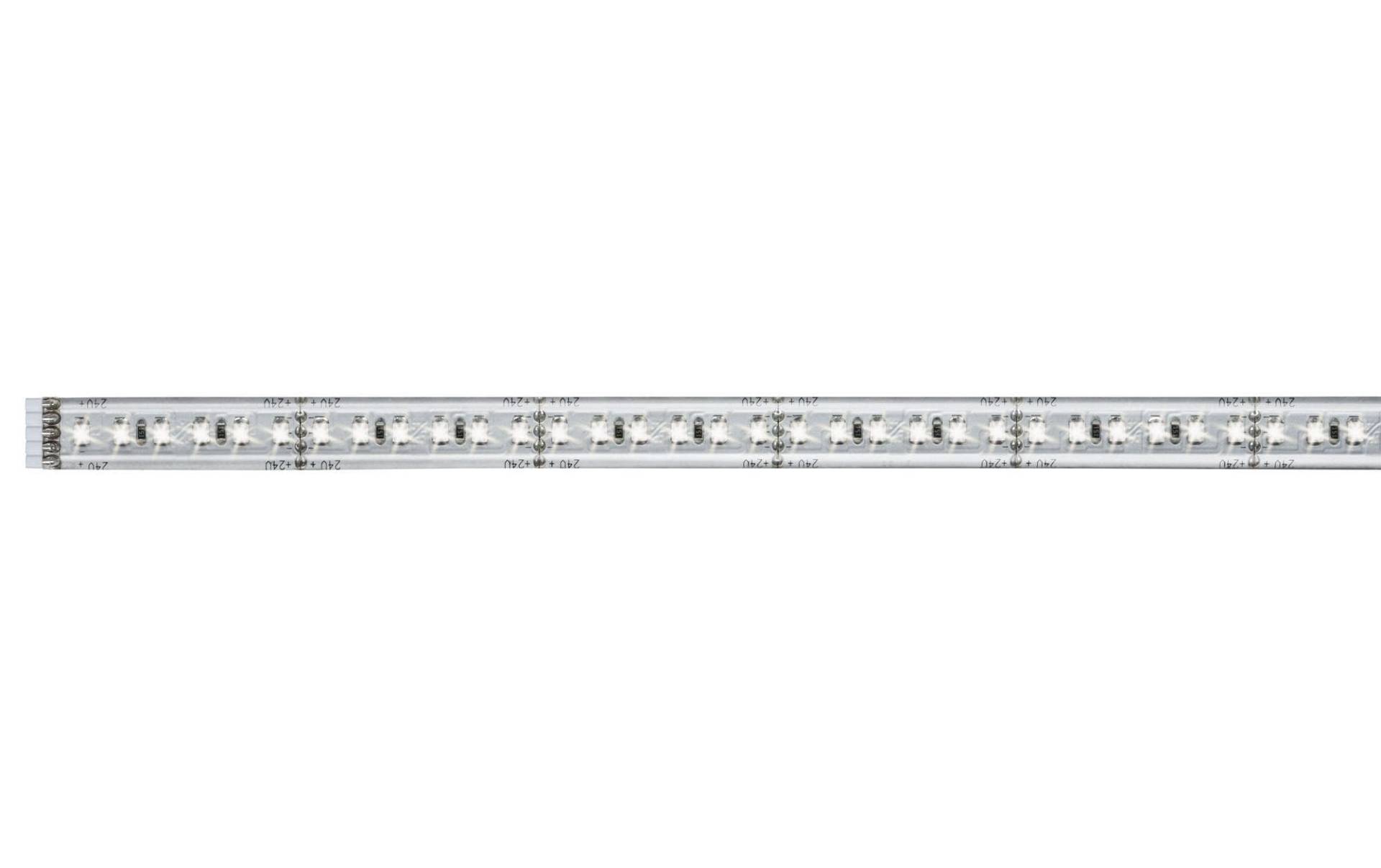 Paulmann LED-Streifen »MaxLED 1000 650«, 144 St.-flammig Paulmann LED-Streifen »MaxLED 1000 650«, 144 St.-flammig von Paulmann