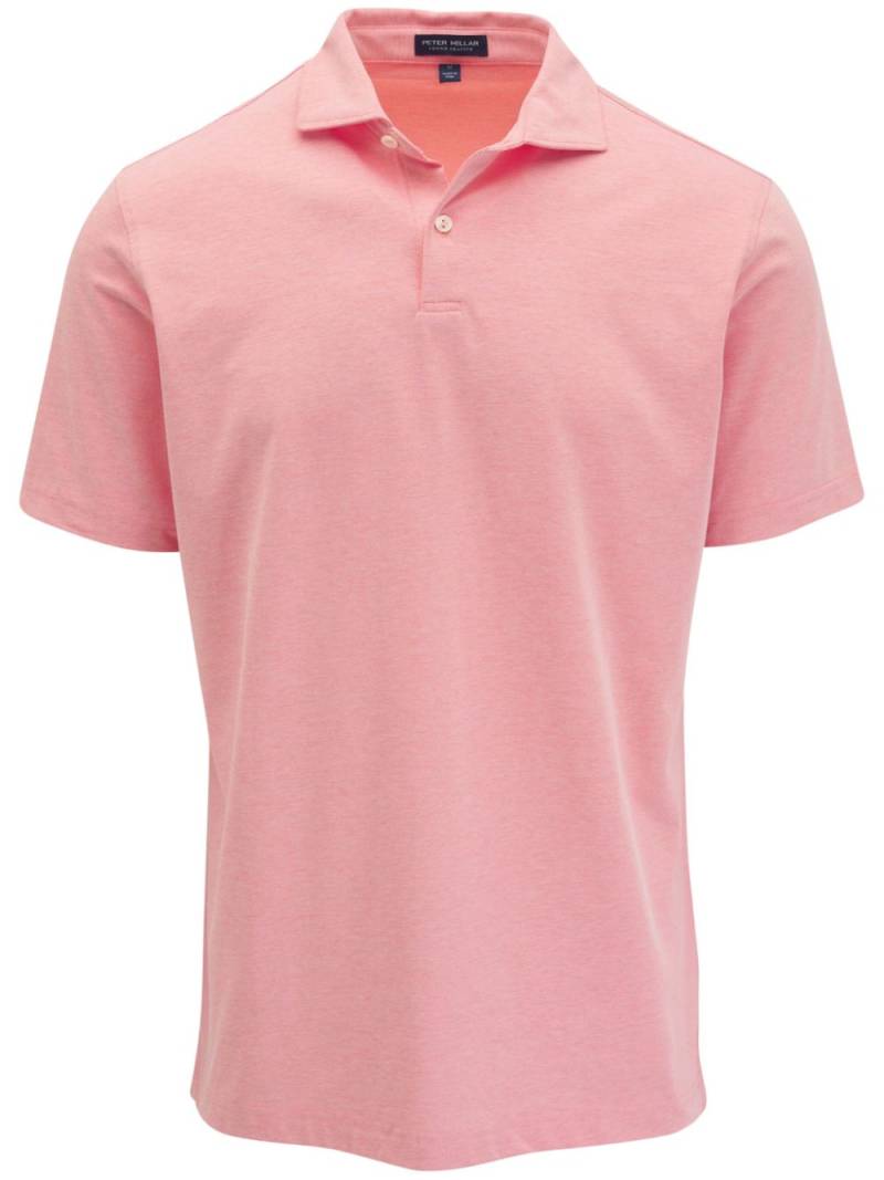 Peter Millar Albatross polo shirt - Pink von Peter Millar