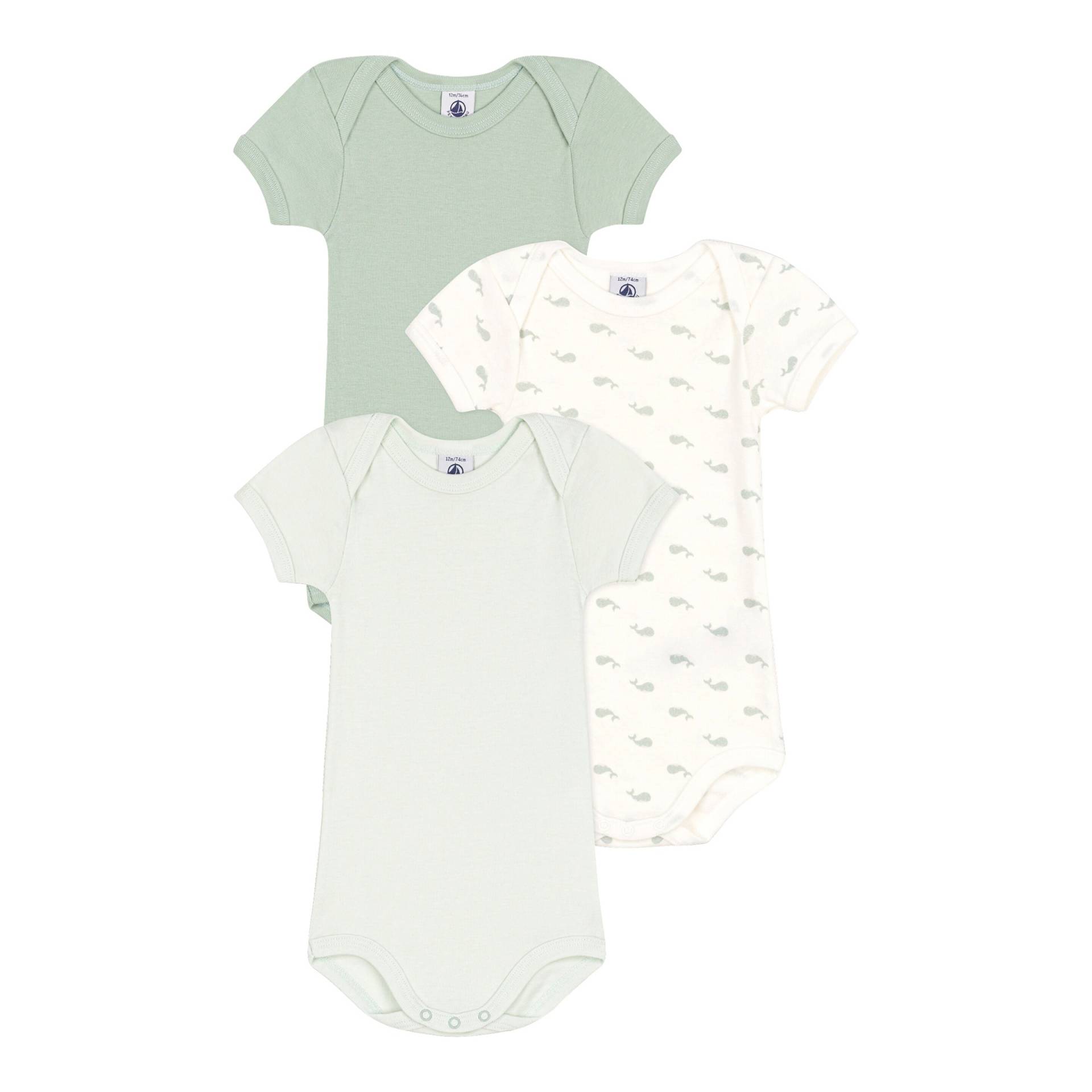 3er-Pack Bodys kurzarm Wale von Petit Bateau