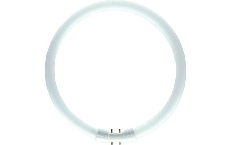 Philips LED-Leuchtmittel »TL5-Circular 55 W 2GX«, Neutralweiss von Philips