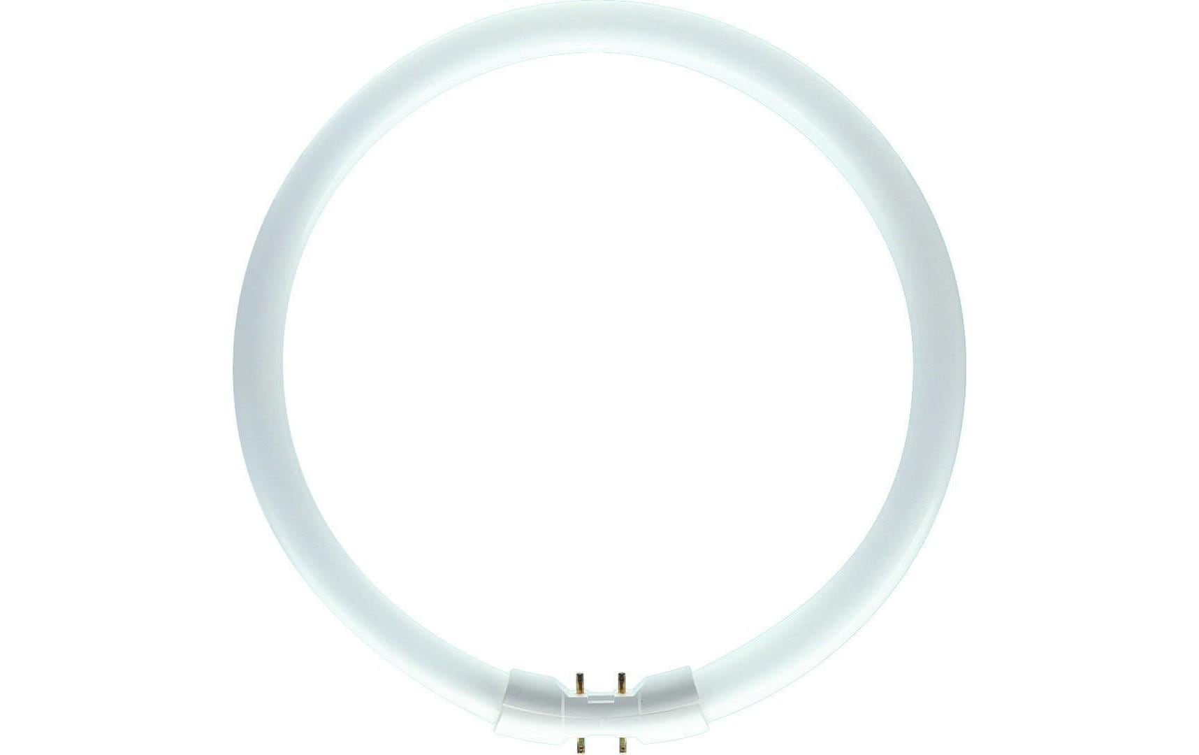 Philips LED-Leuchtmittel »TL5-Circular 60 W 2GX«, Neutralweiss von Philips