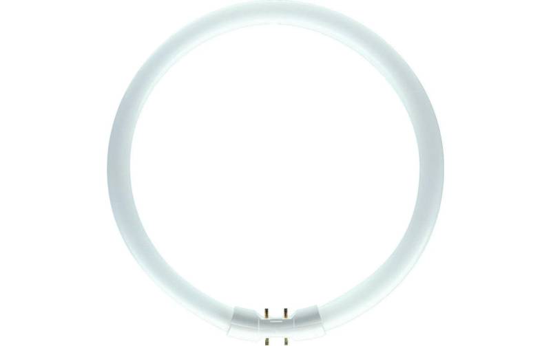 Philips LED-Leuchtmittel »TL5-Circular 60 W 2GX«, Neutralweiss von Philips