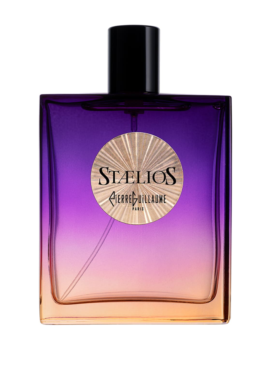 Pierre Guillaume Paris Stælios Eau de Parfum 100 ml von Pierre Guillaume Paris