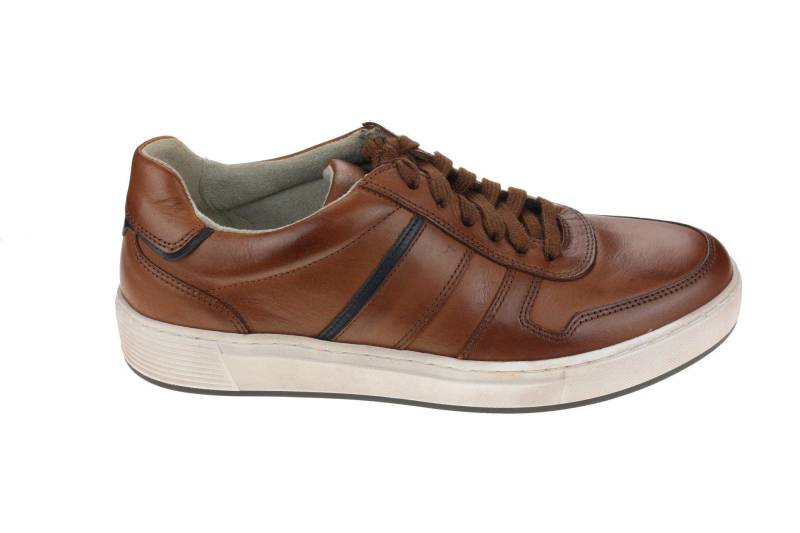 Leder Sneaker Herren Braun 41 von Pius Gabor