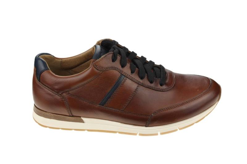 Leder Sneaker Herren Braun 41 von Pius Gabor