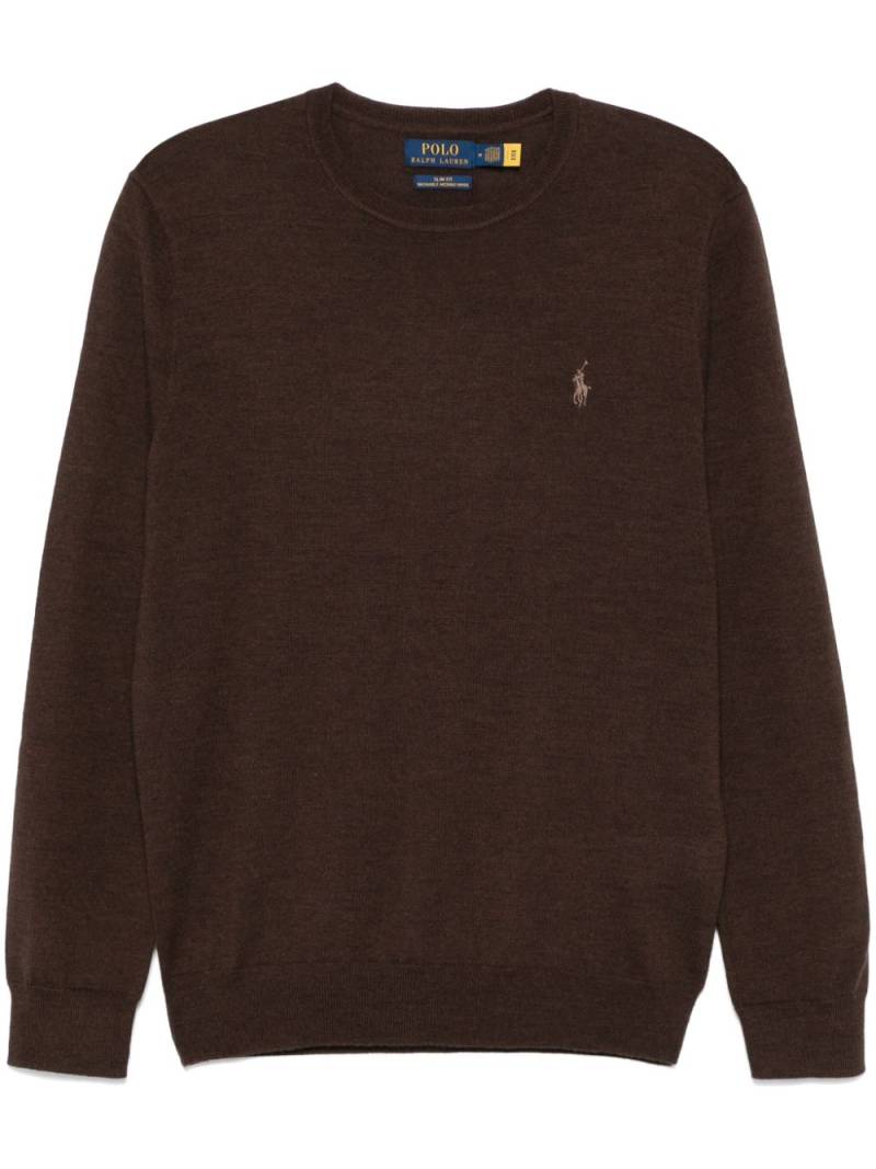 Polo Ralph Lauren Polo Pony sweater - Brown von Polo Ralph Lauren