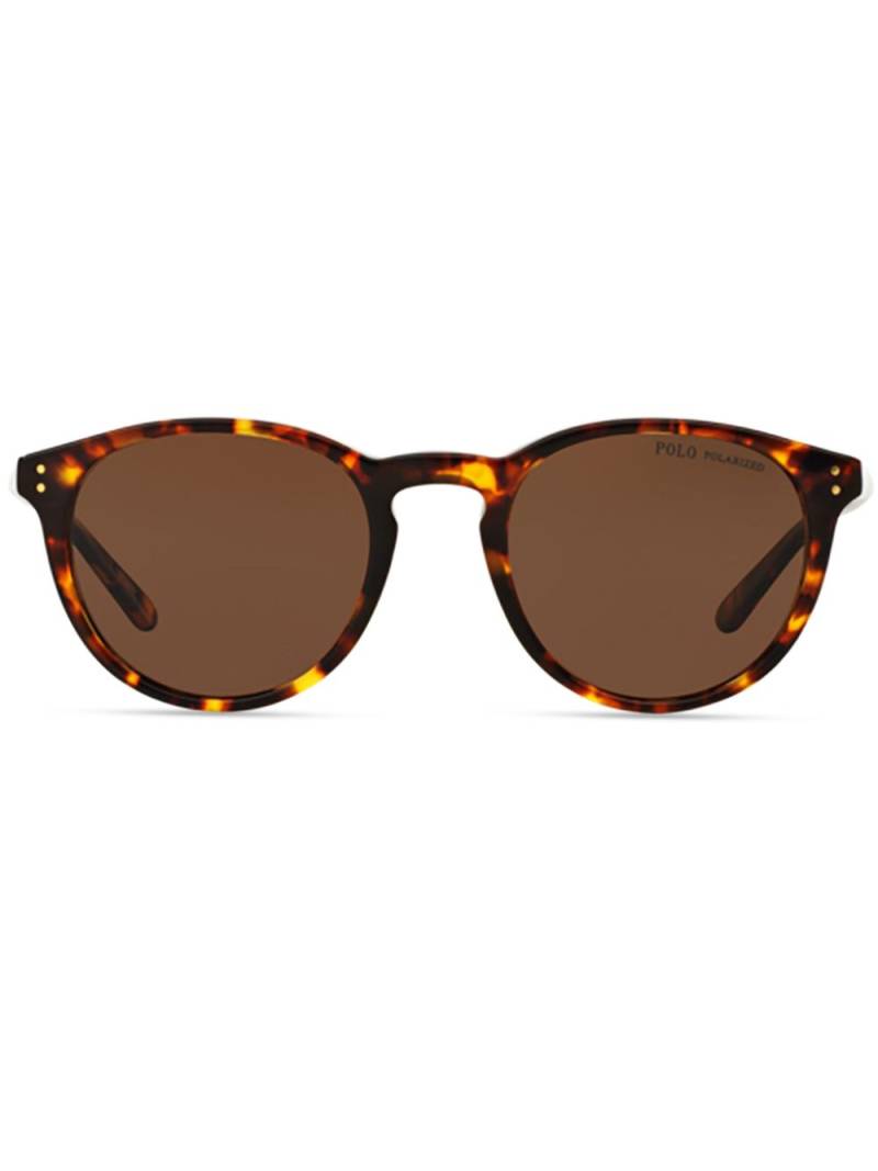 Polo Ralph Lauren logo-print sunglasses - Brown von Polo Ralph Lauren