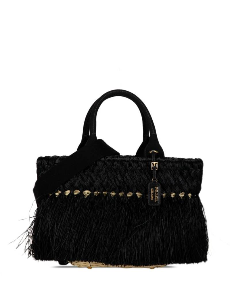 Prada Pre-Owned 2013-2023 Fringed Raffia satchel - Black von Prada Pre-Owned