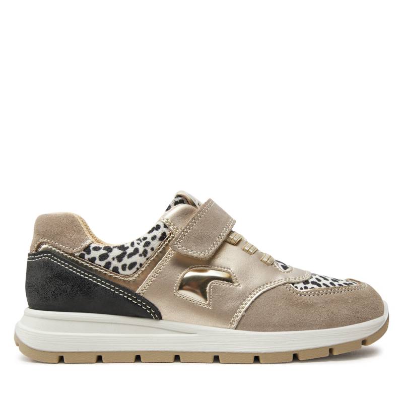 Sneakers Primigi 5876266 D Beige von Primigi