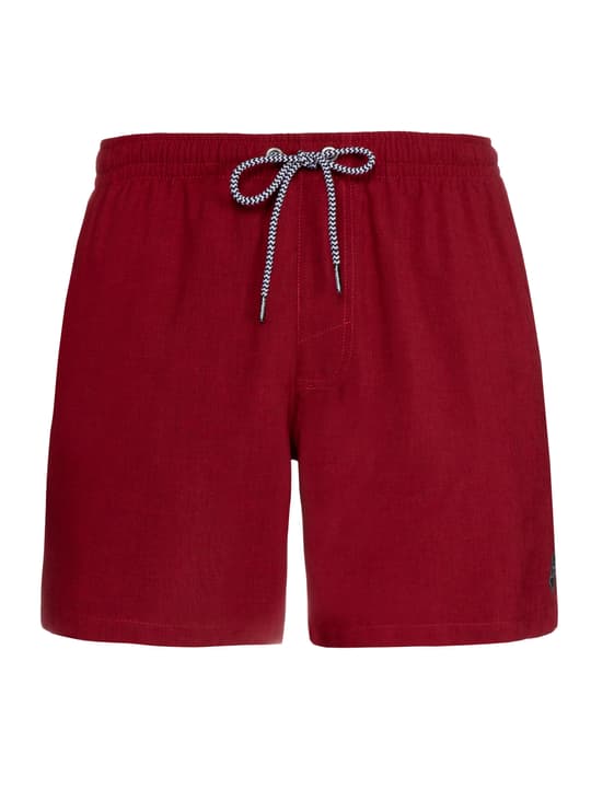 Protest Davey Badeshorts bordeaux von Protest