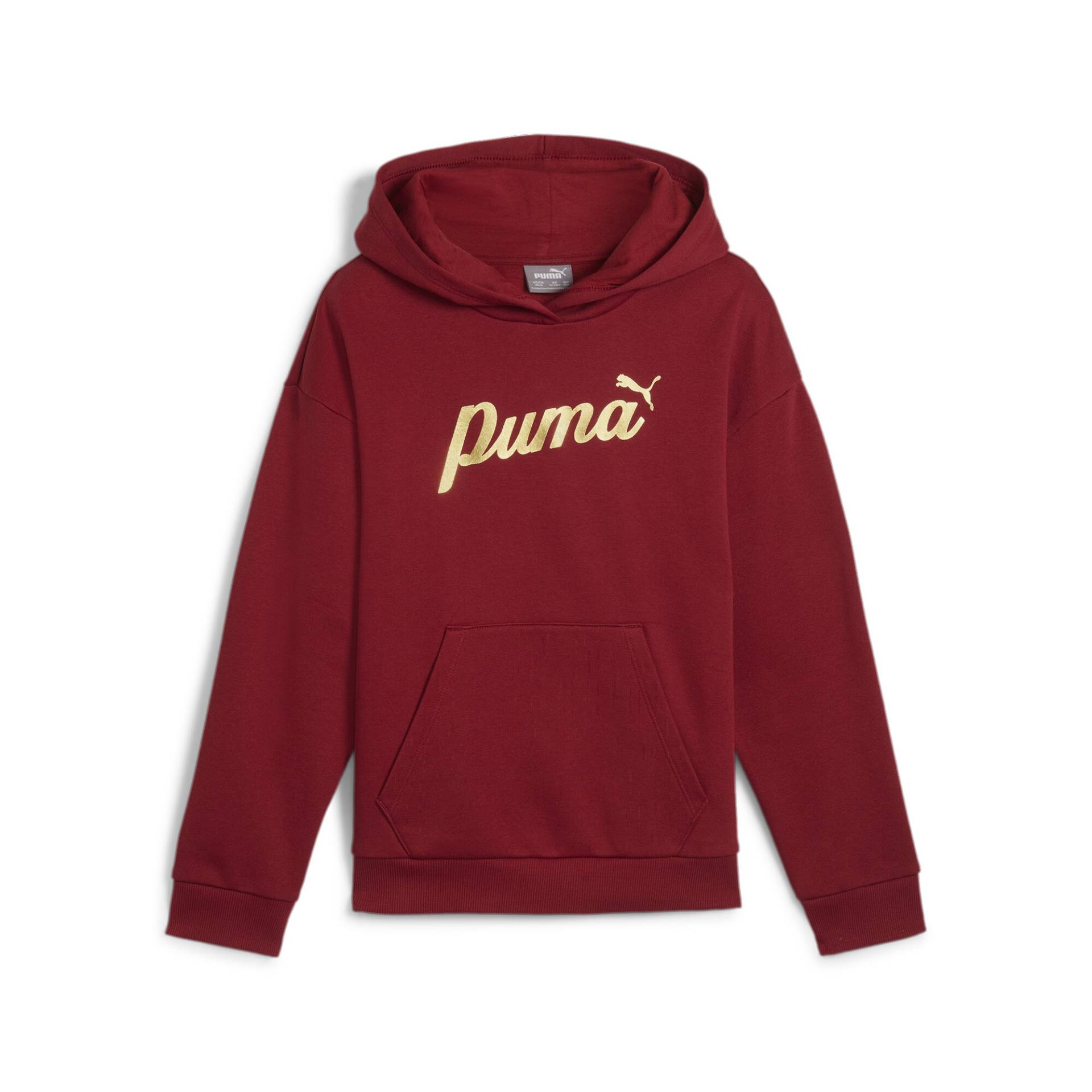 PUMA Kapuzensweatshirt »ESS+ SCRIPT METALLIC HOODIE FL G« PUMA Kapuzensweatshirt »ESS+ SCRIPT METALLIC HOODIE FL G« von Puma