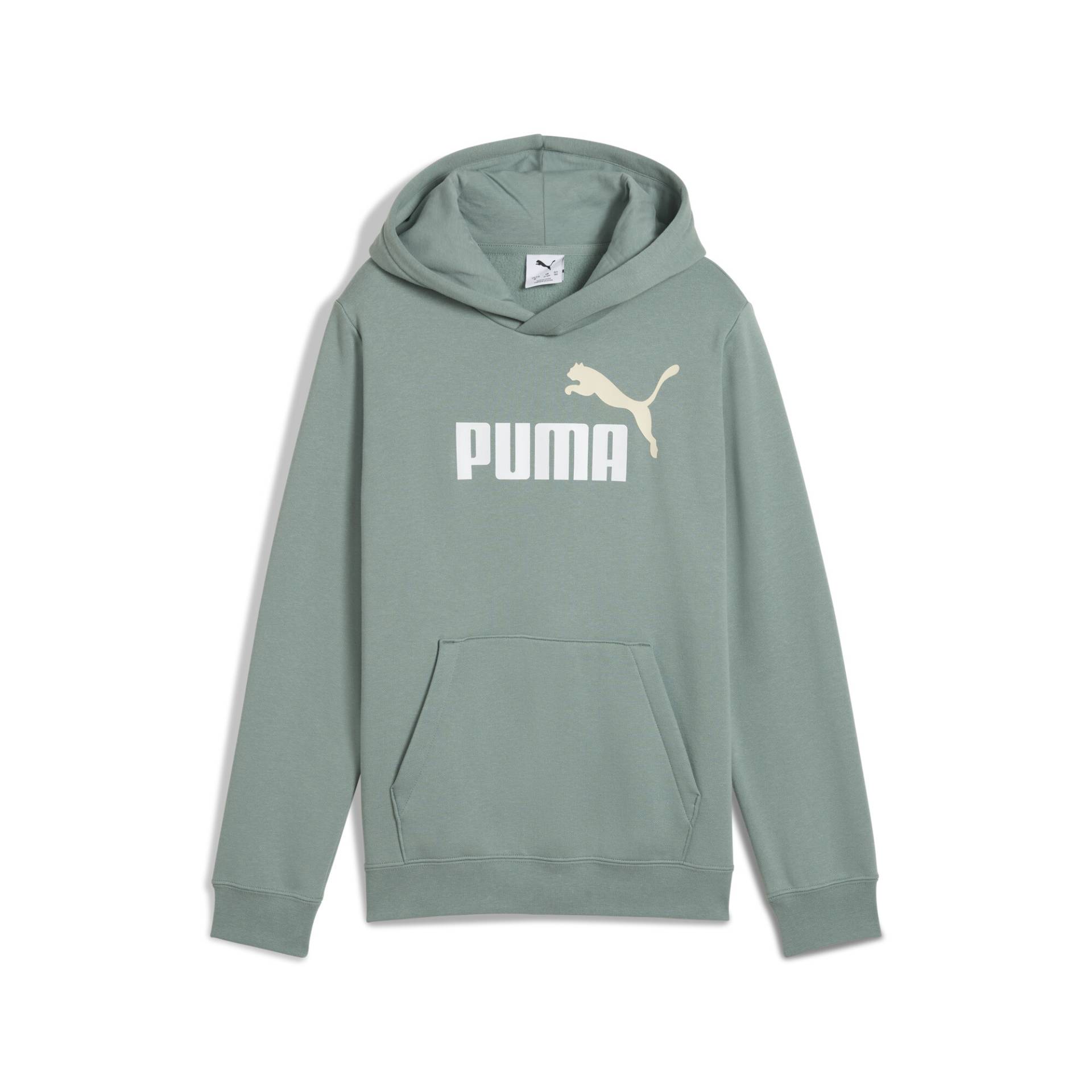 PUMA Kapuzensweatshirt »ESS 2 COLOR NO. 1 LOGO HOODIE FL B« von Puma