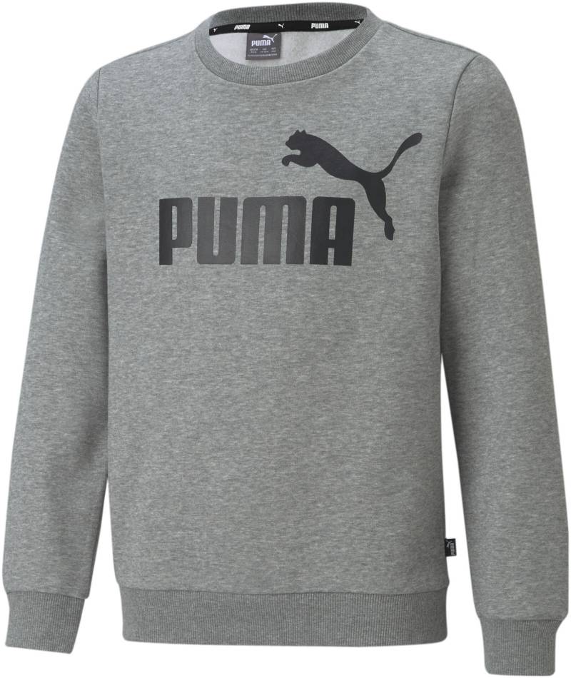 PUMA Sweatshirt »ESS BIG LOGO CREW FL B« von Puma