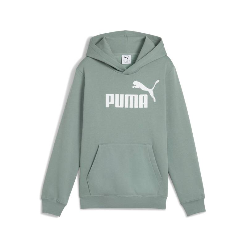 PUMA Kapuzensweatshirt »ESS NO. 1 LOGO HOODIE FL B« von Puma