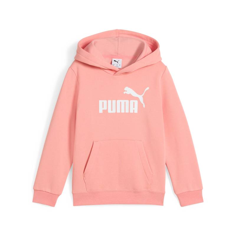 PUMA Kapuzensweatshirt »ESS NO. 1 LOGO HOODIE FL PS« von Puma