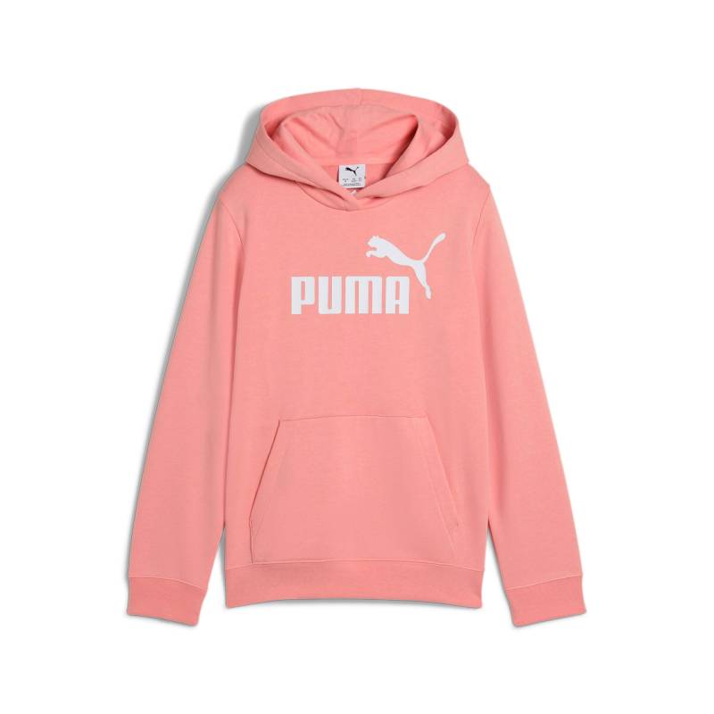 PUMA Kapuzensweatshirt »ESS NO. 1 LOGO HOODIE TR G« von Puma