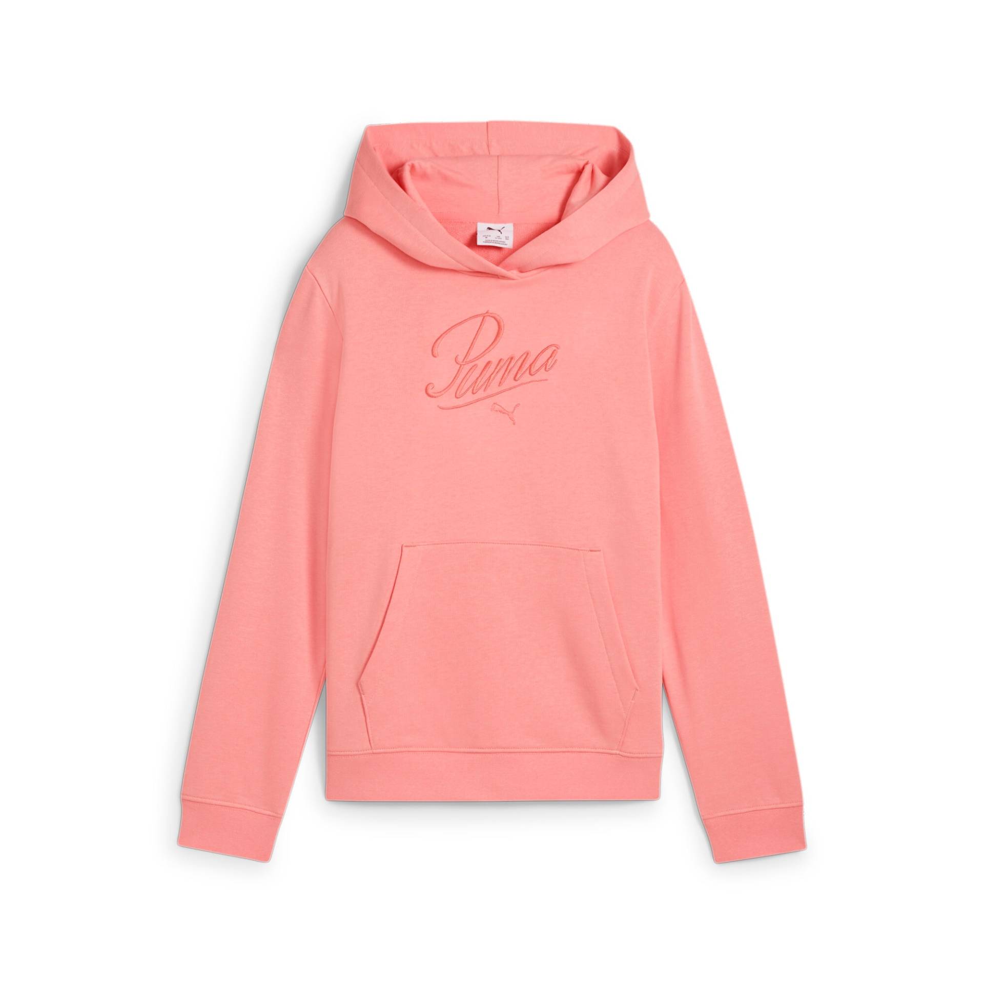 PUMA Kapuzensweatshirt »ESS SCRIPT HOODIE TR G« von Puma