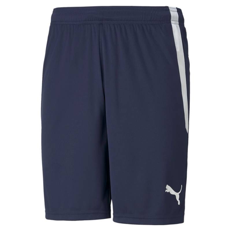 PUMA Trainingsshorts »TEAMLIGA SHORTS« von Puma