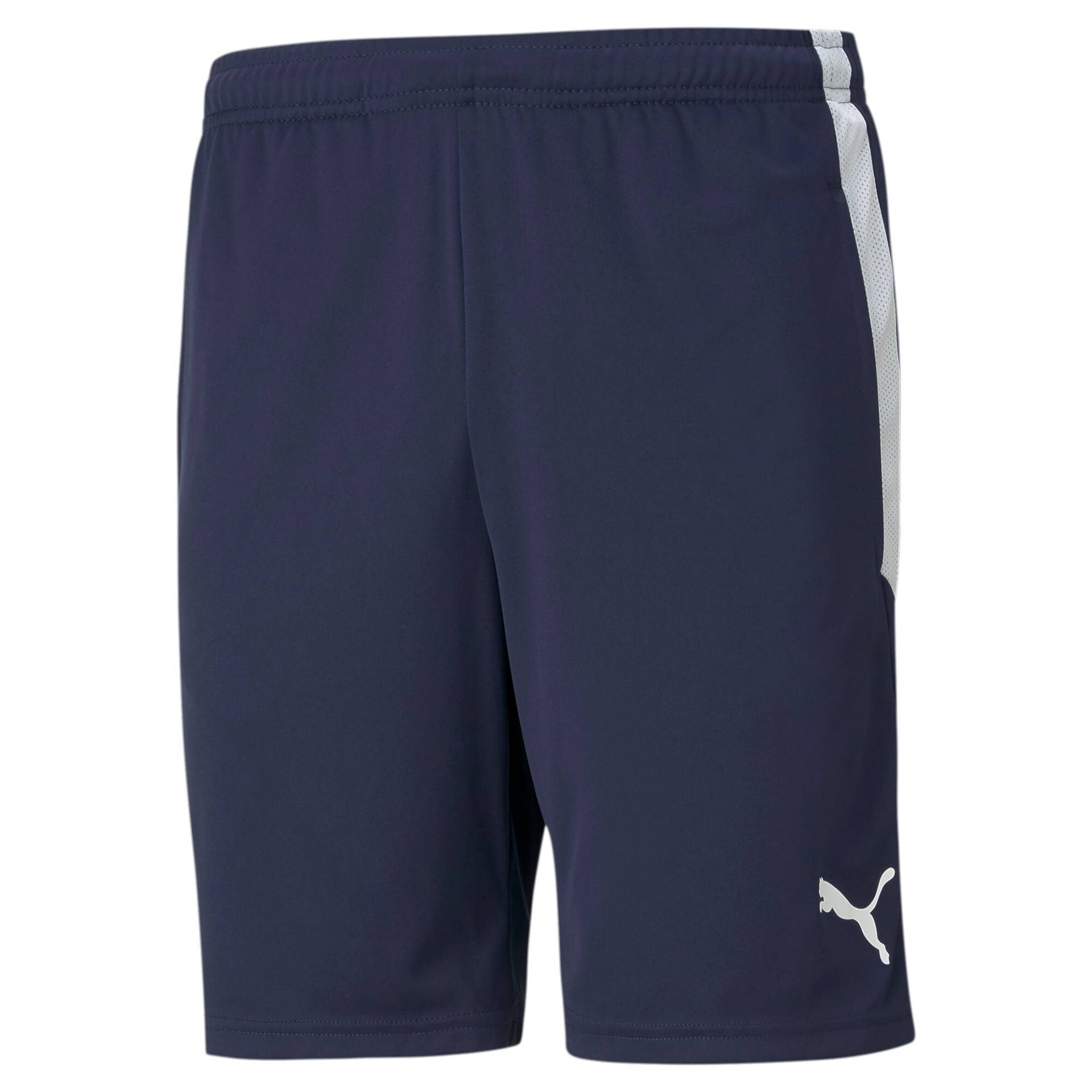 PUMA Trainingsshorts »TEAMLIGA TRAINING SHORTS« PUMA Trainingsshorts »TEAMLIGA TRAINING SHORTS« von Puma