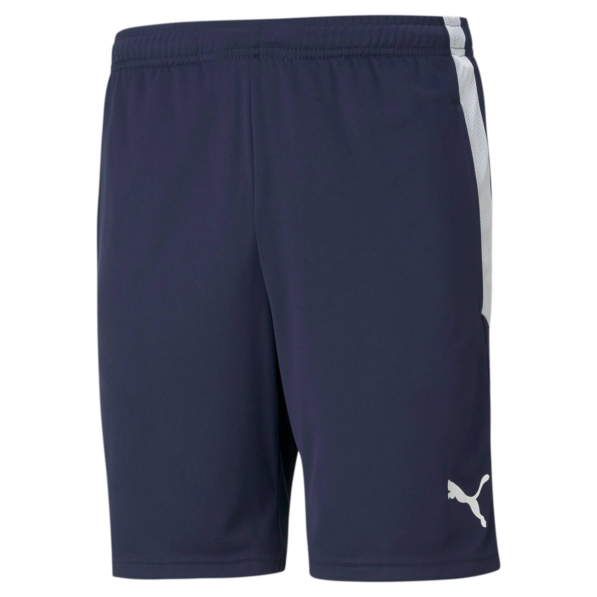 PUMA Trainingsshorts »TEAMLIGA TRAINING SHORTS« von Puma